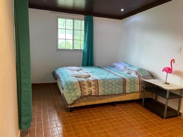 Cabanas Mountain View Volcán Extérieur photo